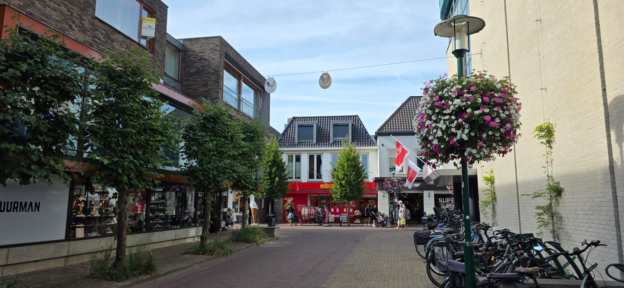 Foto 51 van Raadhuisplein 41-B