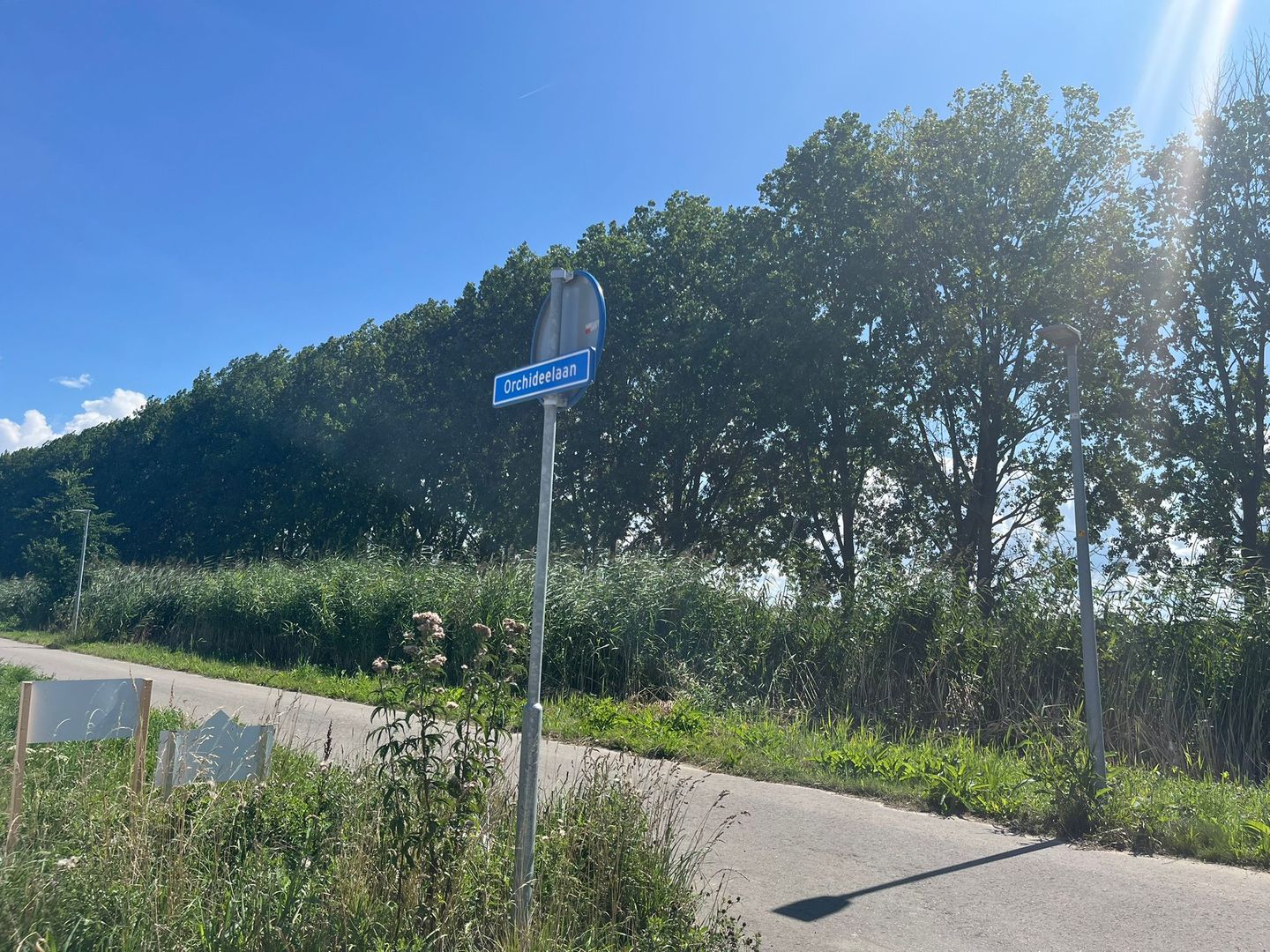 Foto 4 van Orchideelaan 28