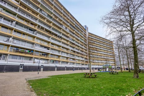 Pharus 302 tertiary image