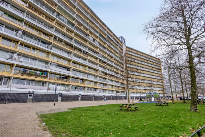 Foto 3 van Pharus 302