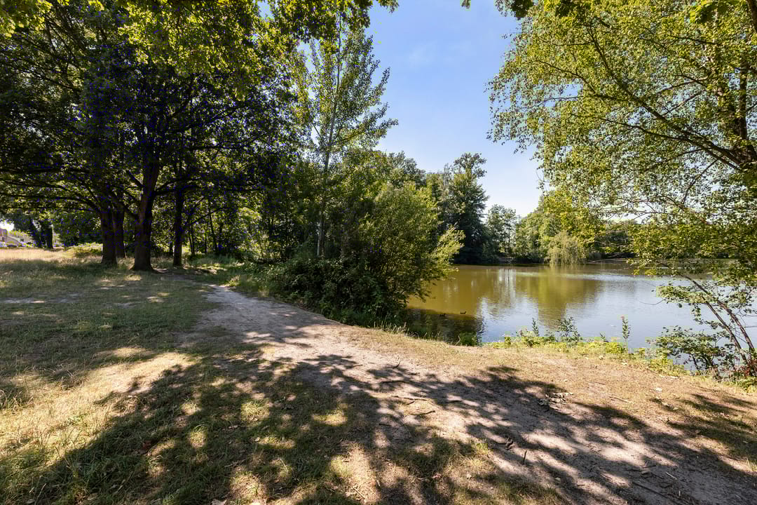 Foto 37 van Orgellaan 22