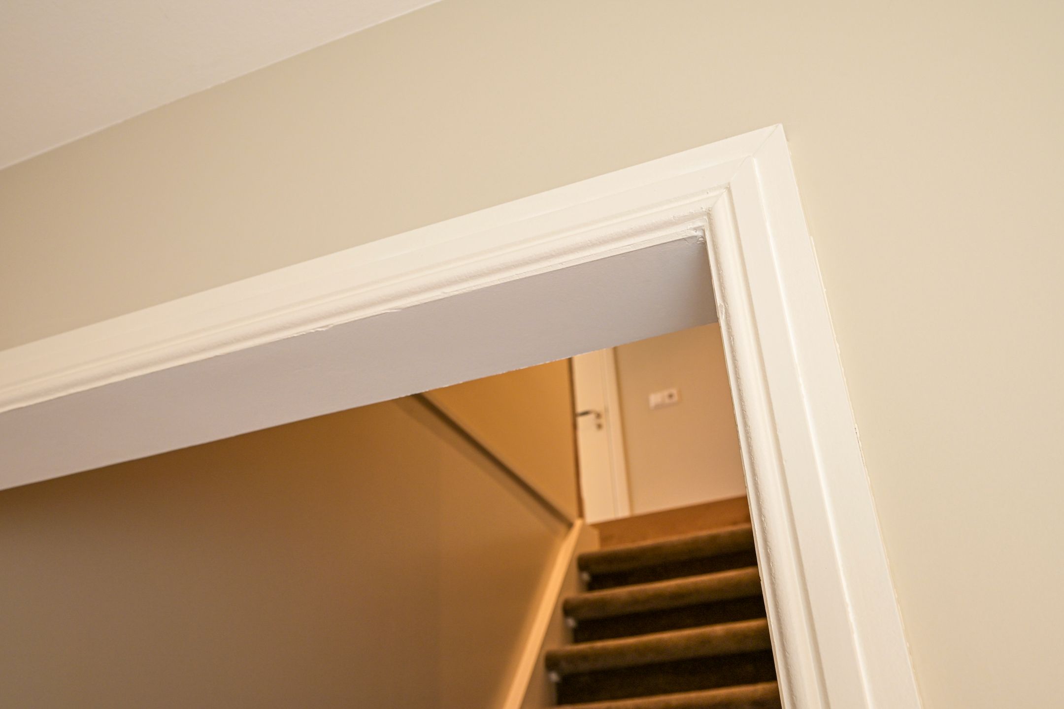 Photo 66 of Denneweg 68-A