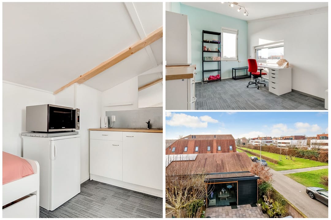 Foto 43 van Monnikeraklaan 17