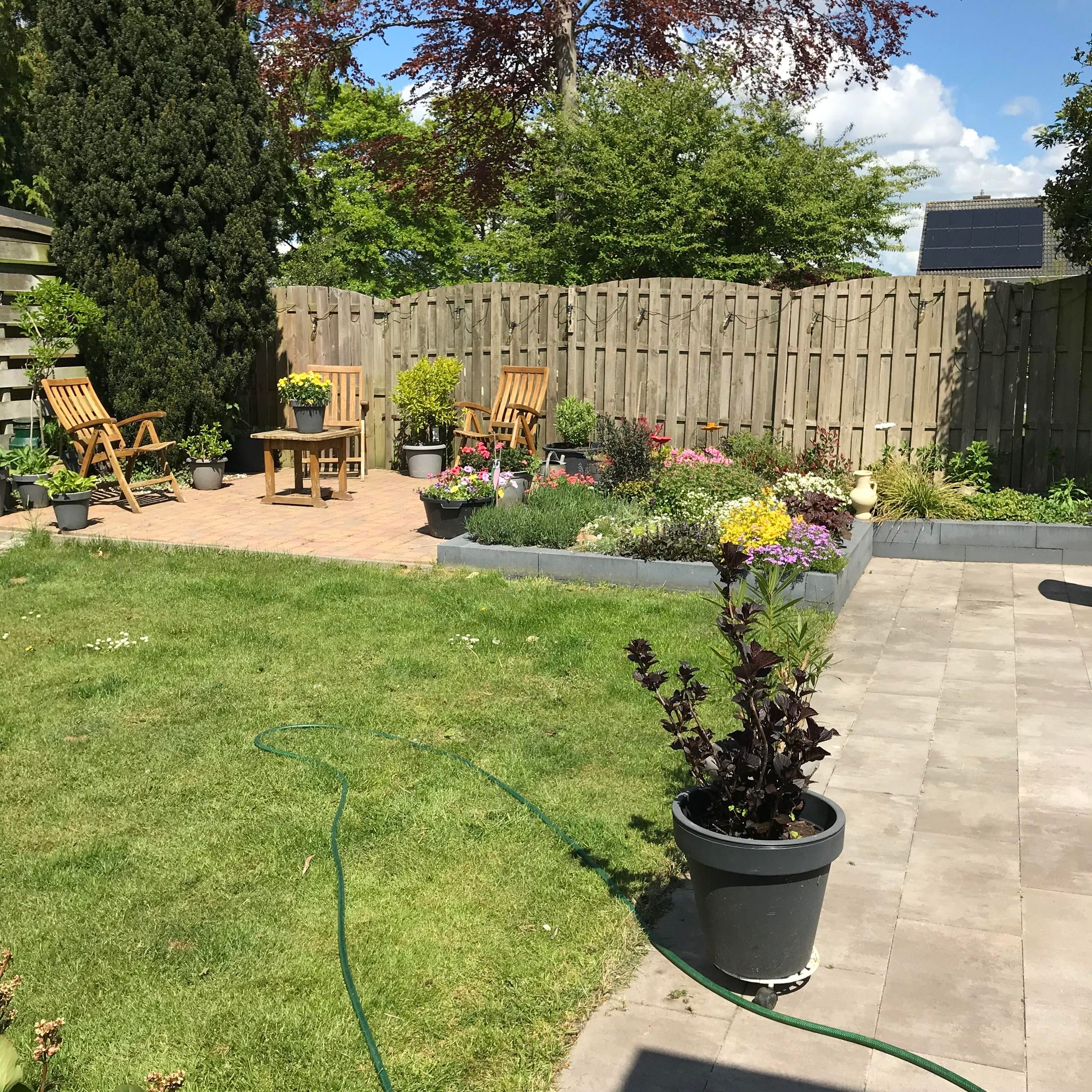 Foto 48 van Hoornwerk 52