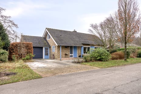 undefined main image