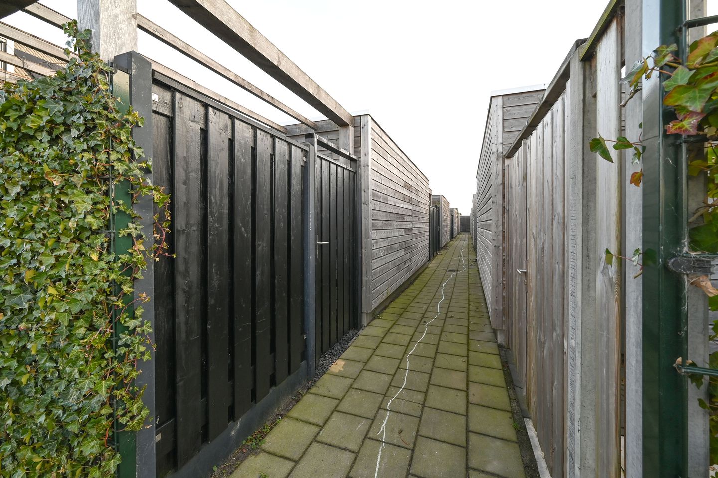 Foto 34 van Spoorzicht 5