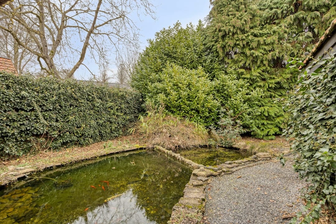 Foto 31 van Steenselseweg 15