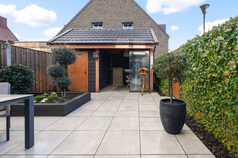 Koolmees 11 tertiary image