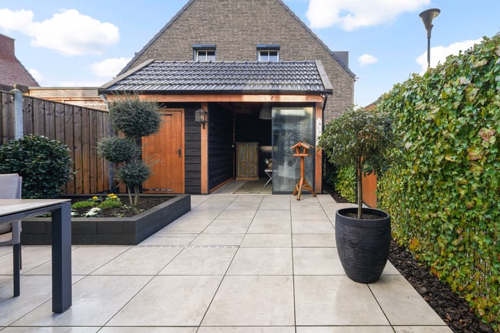 Foto 3 van Koolmees 11