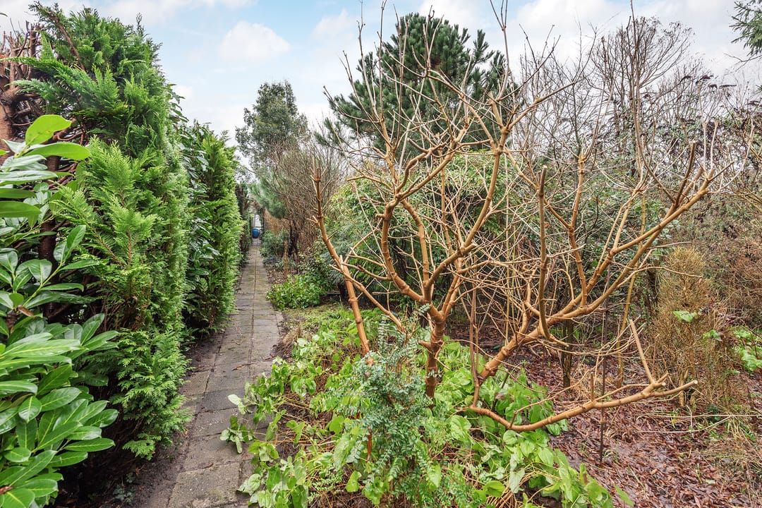 Foto 7 van Wilgenlaan 15