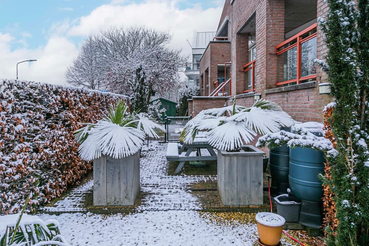 Foto 2 van Blauwe Pannen 3