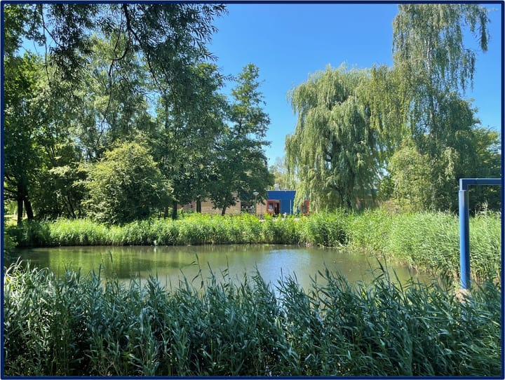 Photo 22 of Vliestroom 77