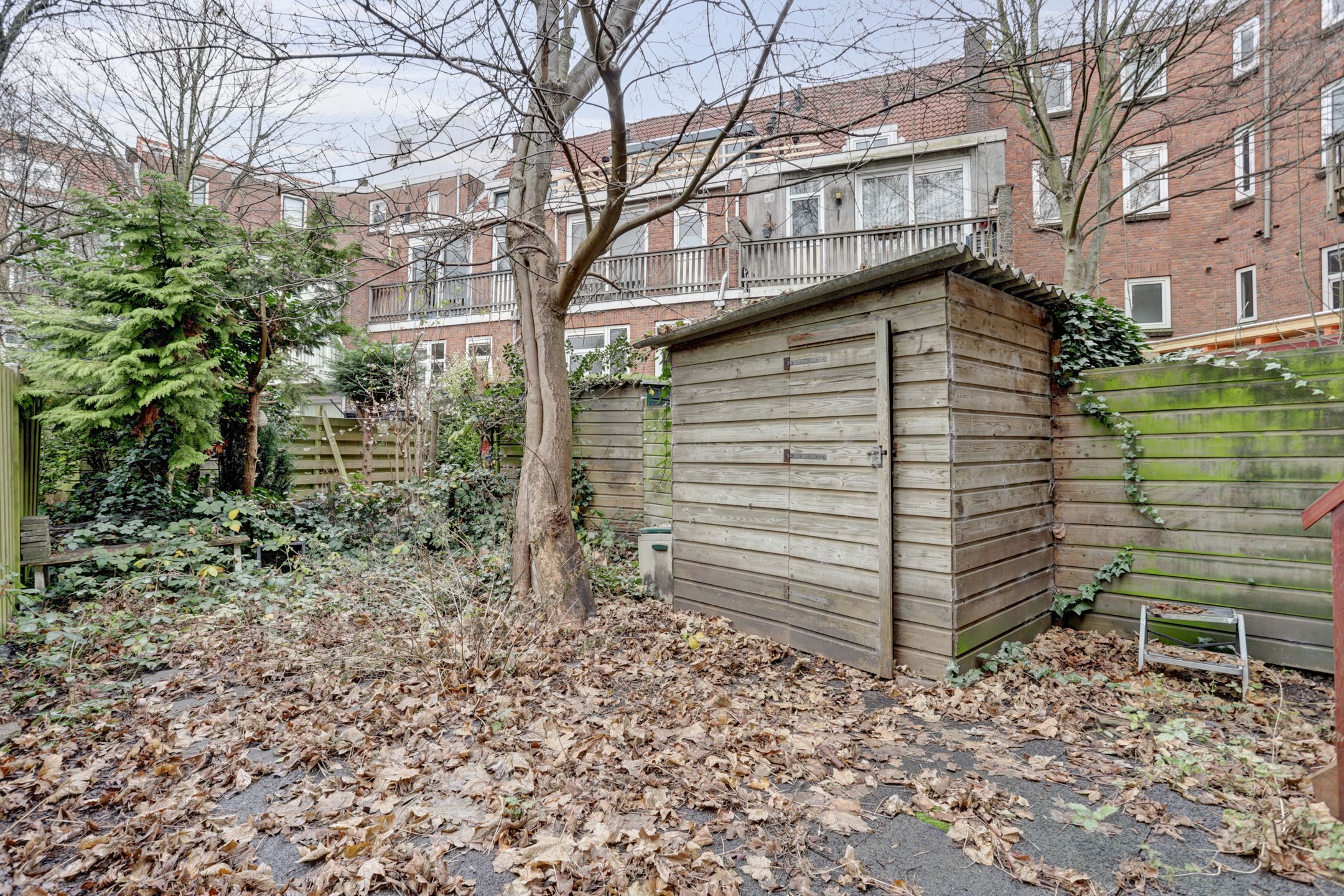 Photo 12 of Nicolaas Beetsstraat 8-B