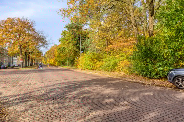 Foto 28 van Jacob van Campenlaan 236