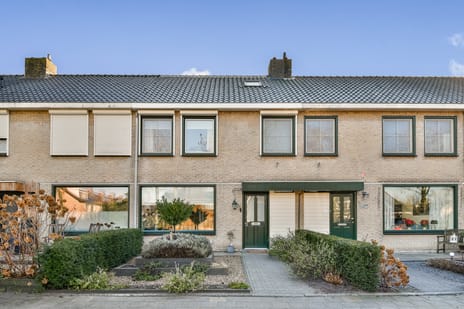 undefined main image