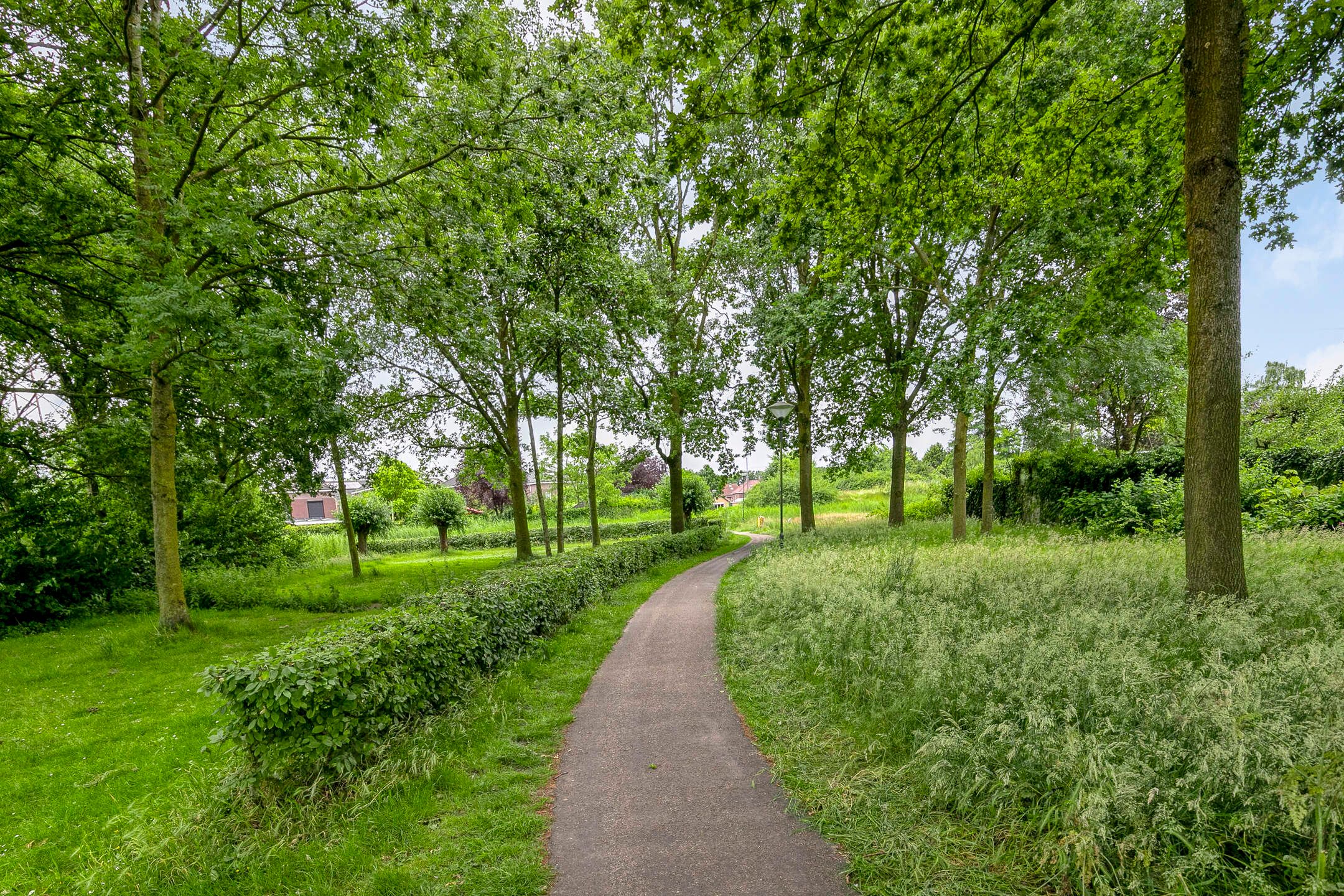 Photo 48 of Baarsstraat 5