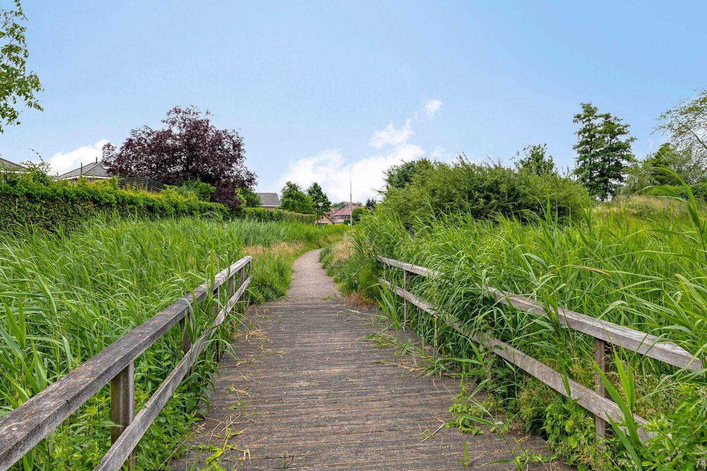 Photo 49 of Baarsstraat 5