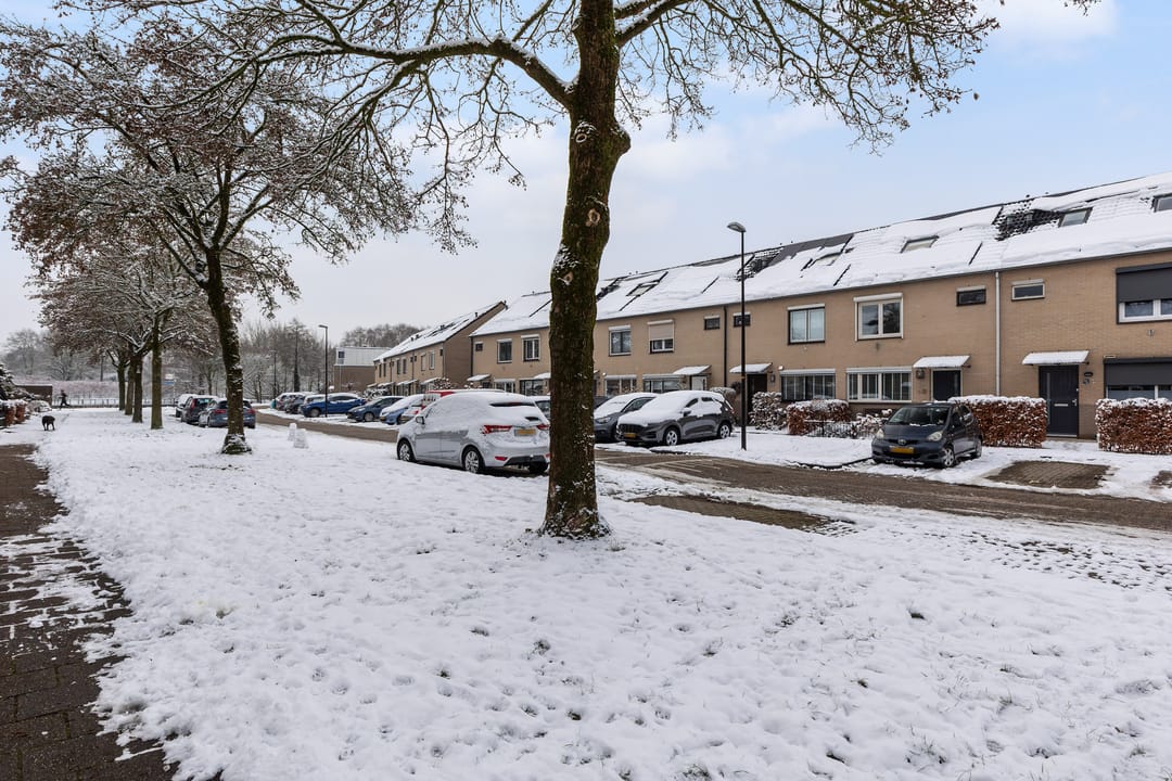 Foto 31 van Latonalaan 32