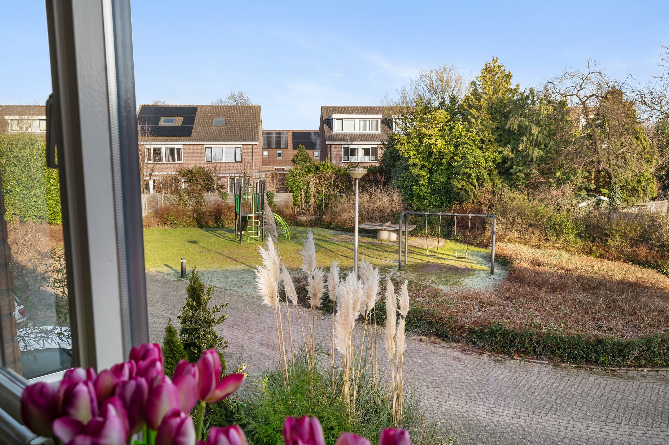 Foto 21 van Hondsdraf 6