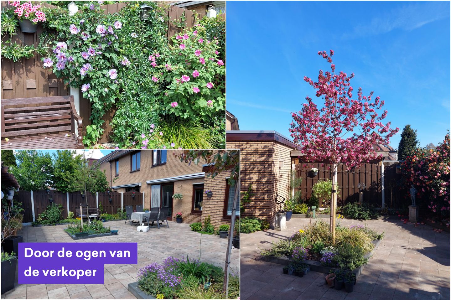 Foto 34 van Hondsdraf 6