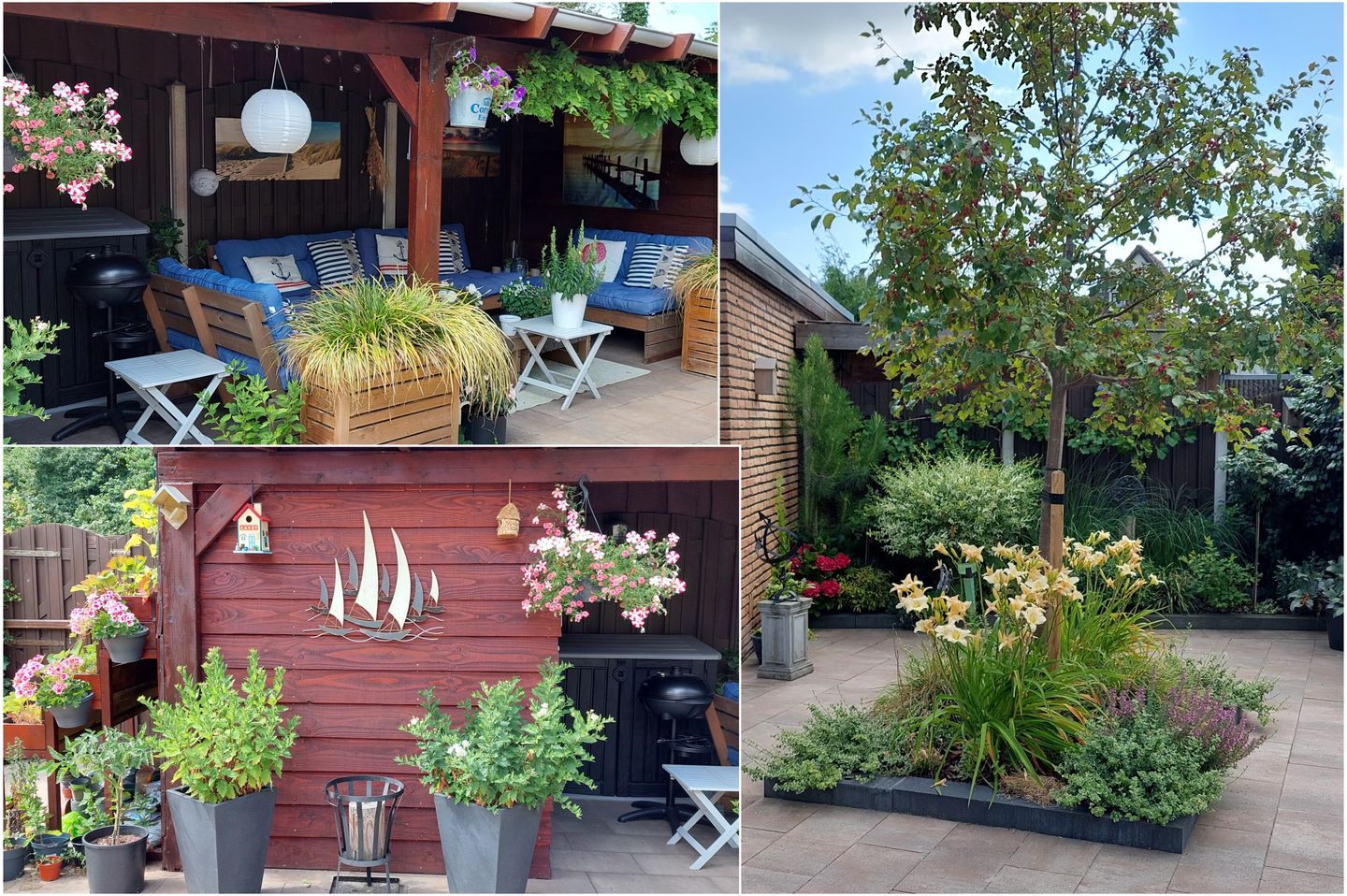 Foto 35 van Hondsdraf 6