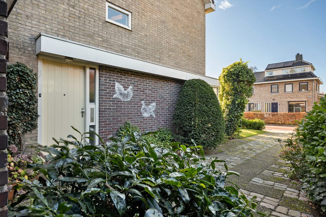 Photo 7 of Duinkampen 1