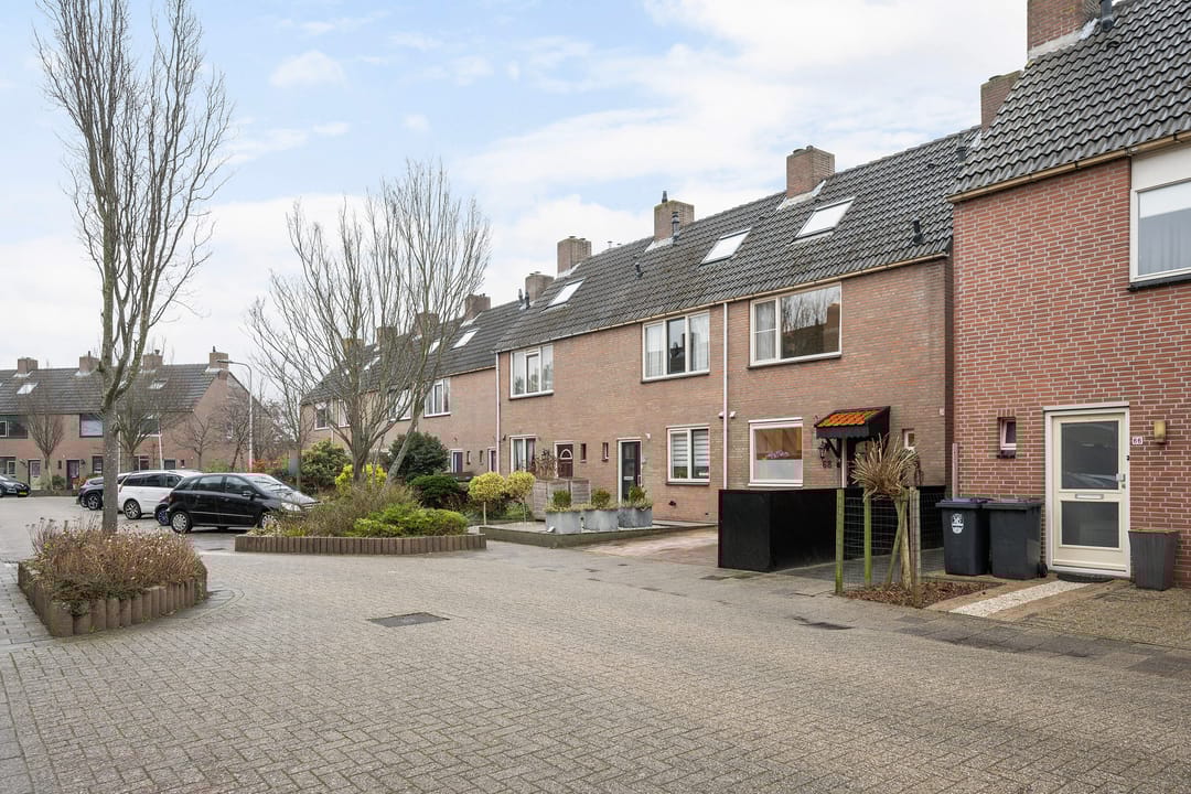 Photo 7 of Heliotroop 68