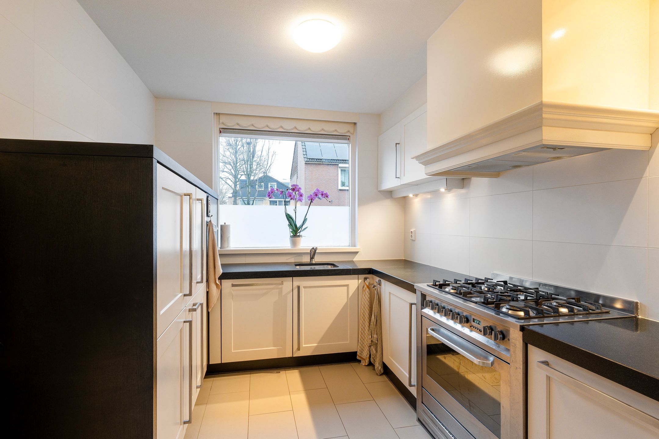 Photo 15 of Heliotroop 68