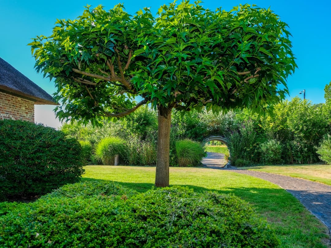 Foto 46 van Molenweg 18