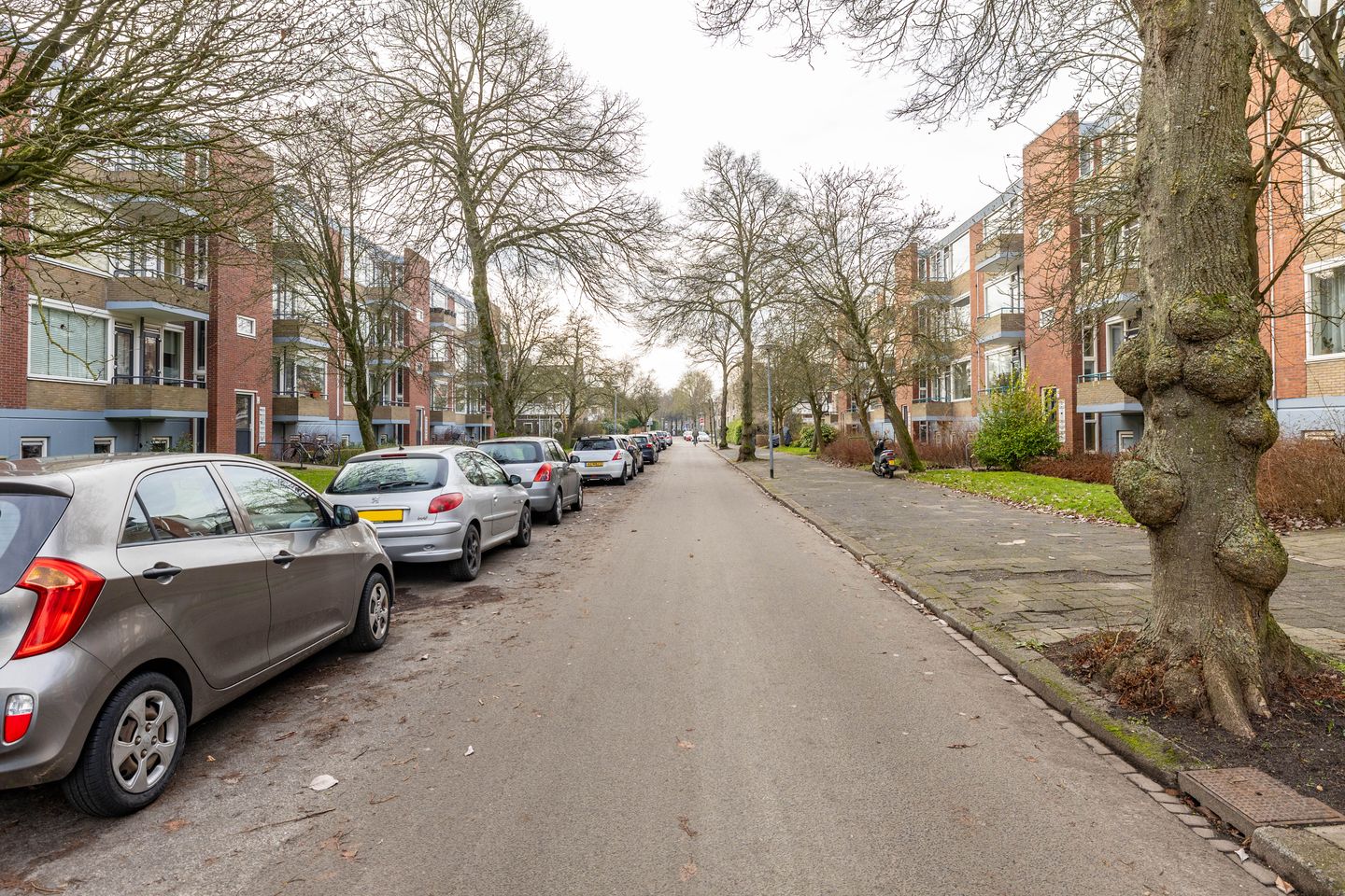 Foto 40 van Madame Curiestraat 20