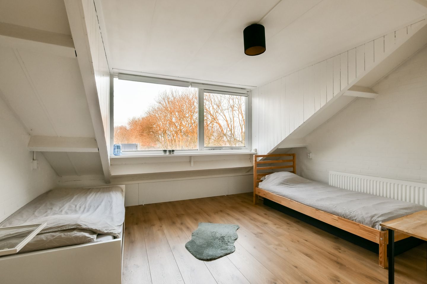 Photo 25 of Platanendreef 12