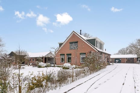 undefined main image