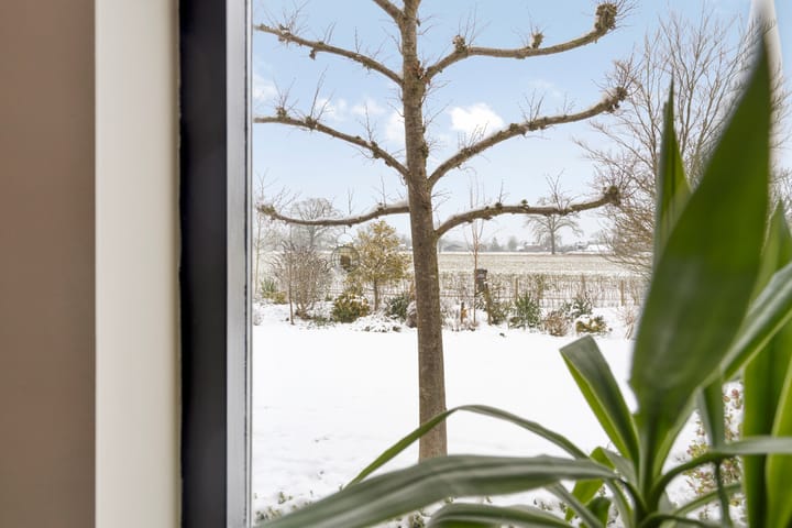 Photo 13 of Speelmanstraat 11-A