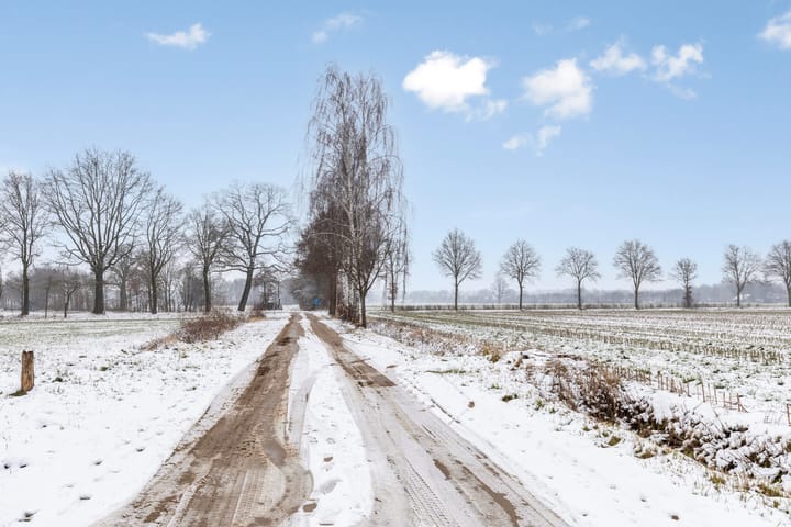 Photo 51 of Speelmanstraat 11-A