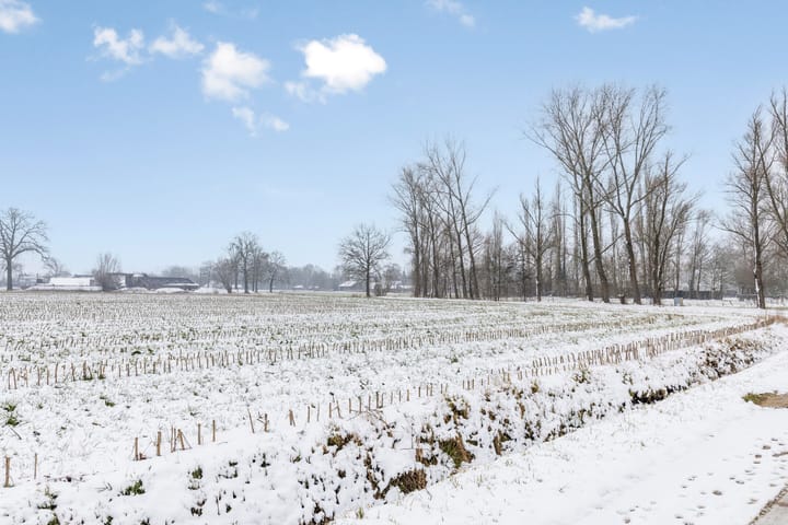 Photo 52 of Speelmanstraat 11-A