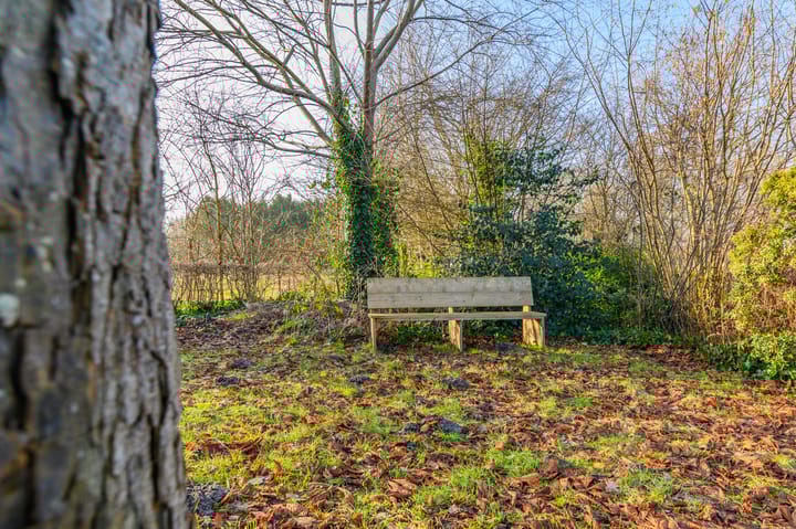 Photo 17 of Binnenwei 8