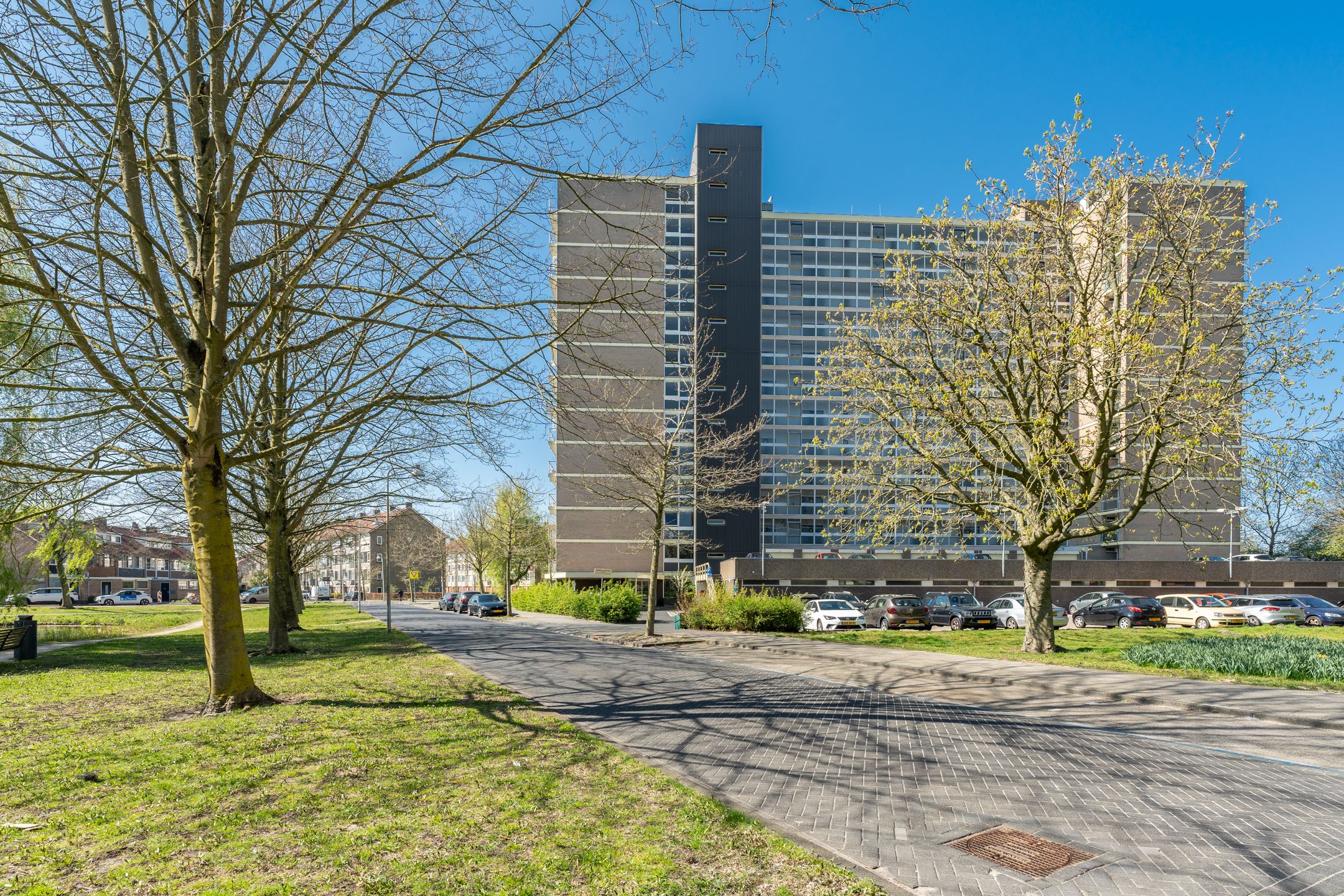 Photo 48 of Tobias Asserlaan 157