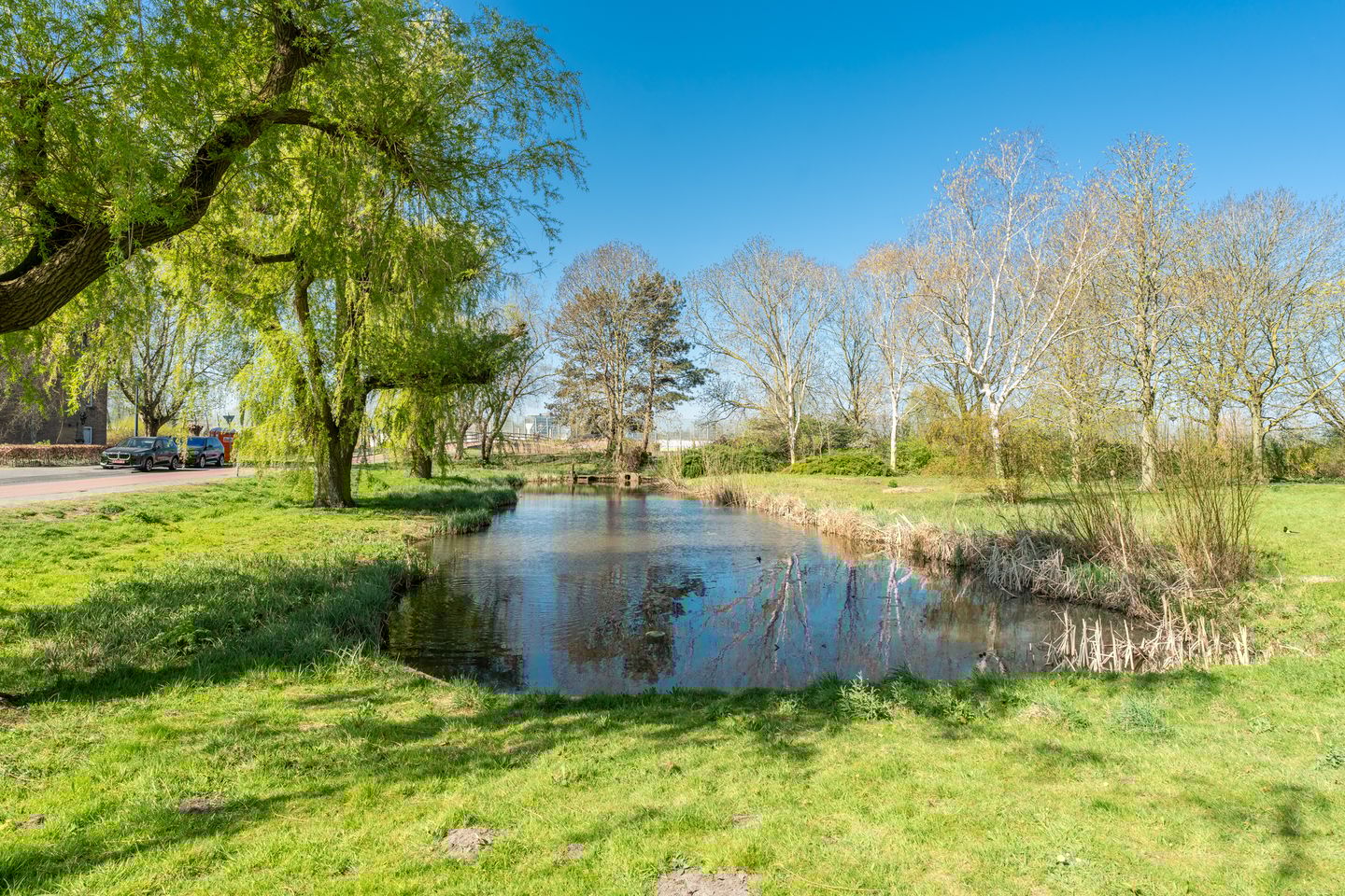 Photo 50 of Tobias Asserlaan 157