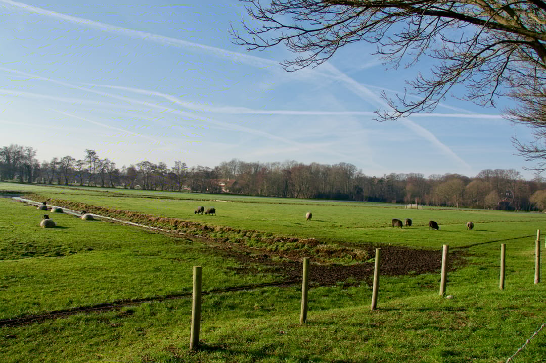 Photo 7 of Kleverlaan 39