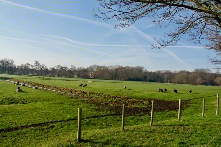 Foto 7 van Kleverlaan 39