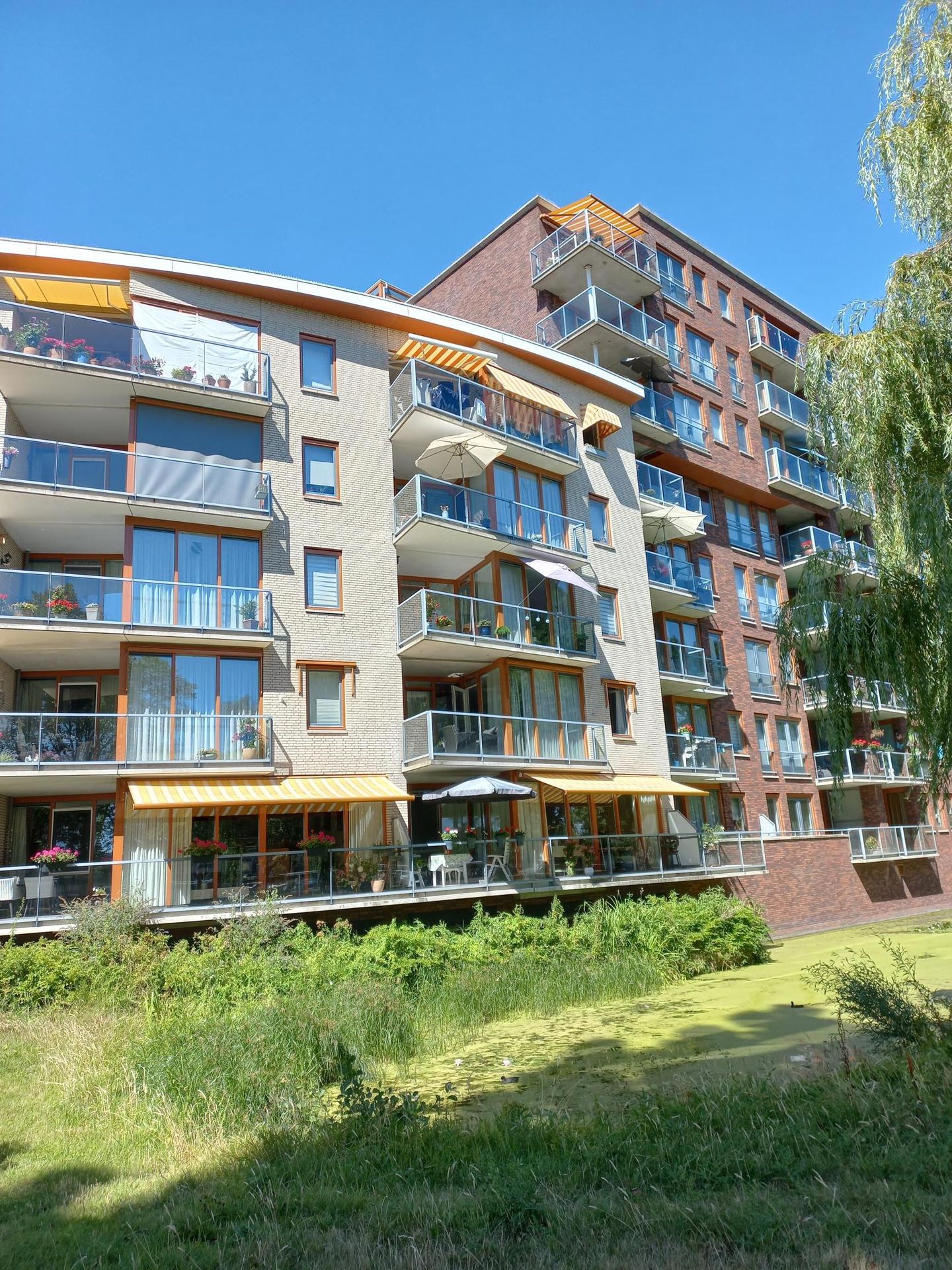 Photo 50 of Lessestraat 316