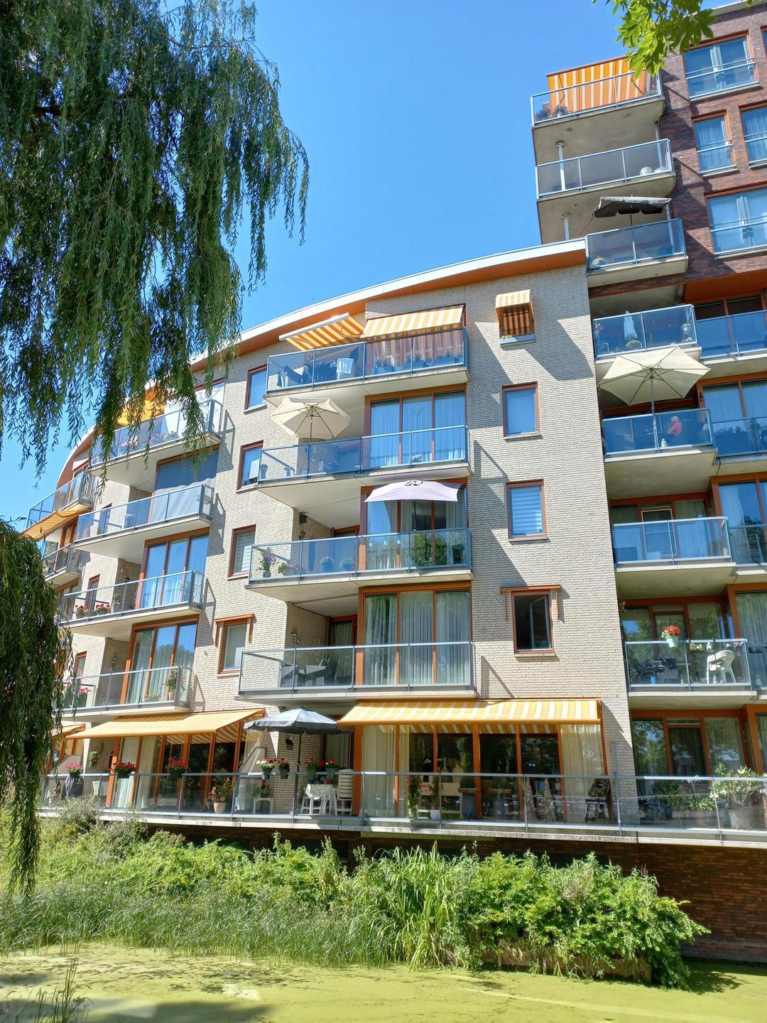 Photo 1 of Lessestraat 316