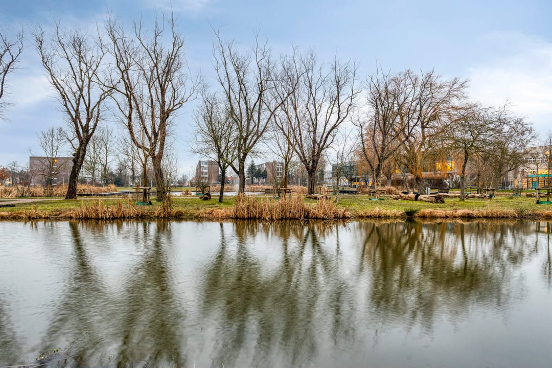 Foto 38 van Toon Dupuisstraat 18