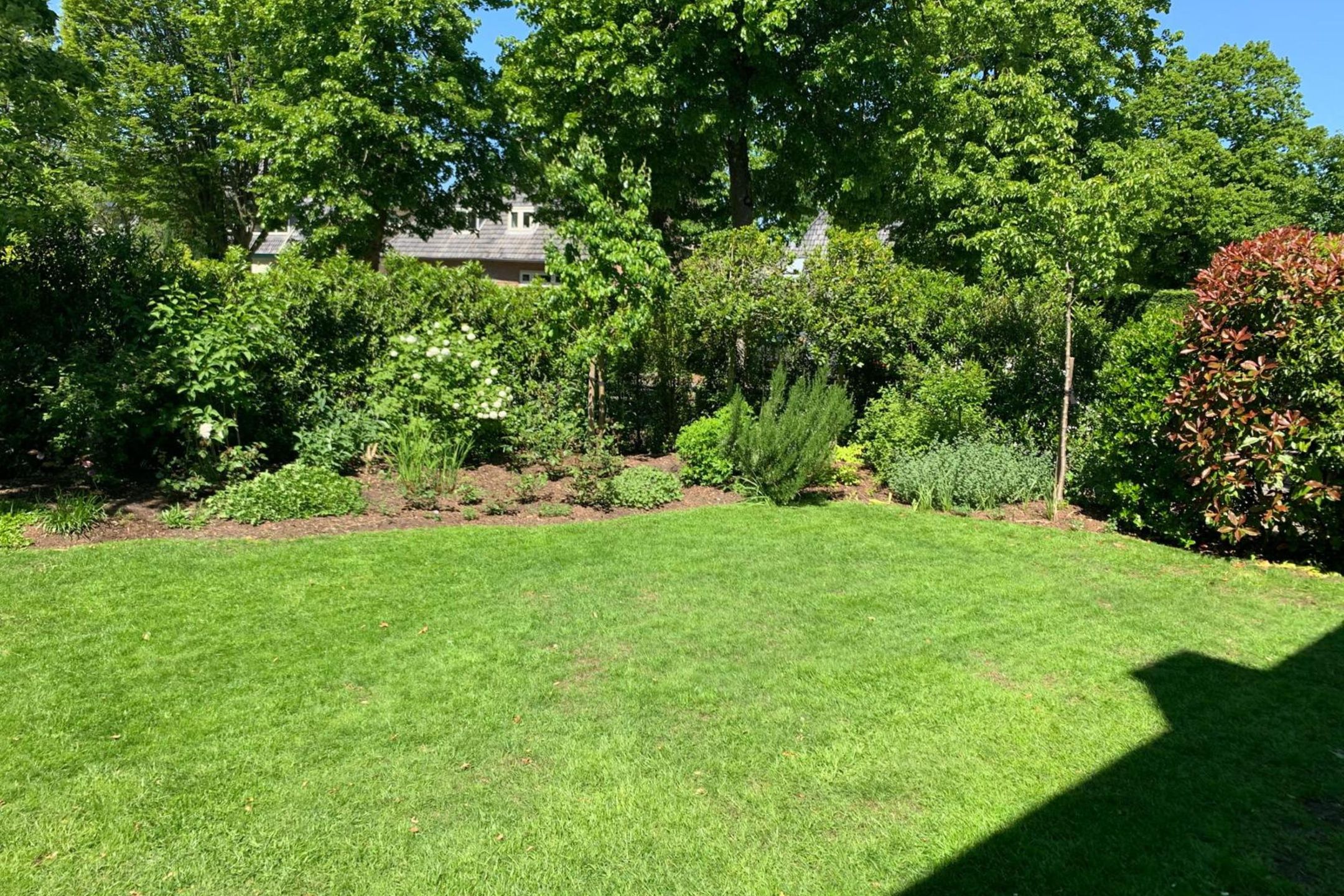 Foto 48 van Lindelaan 32