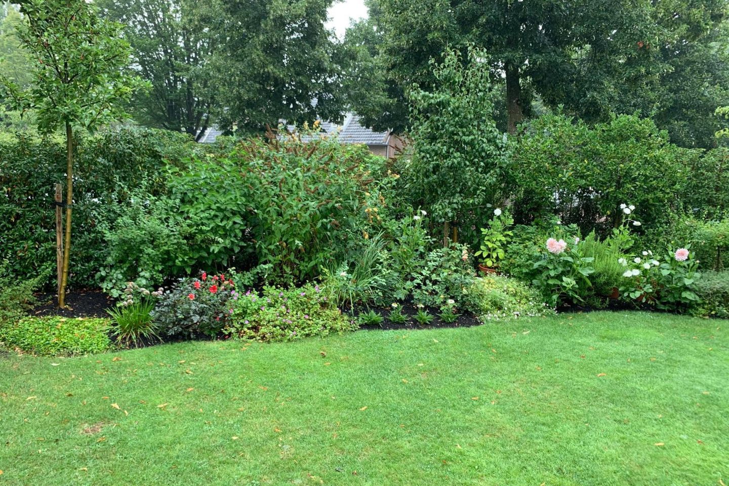 Foto 49 van Lindelaan 32