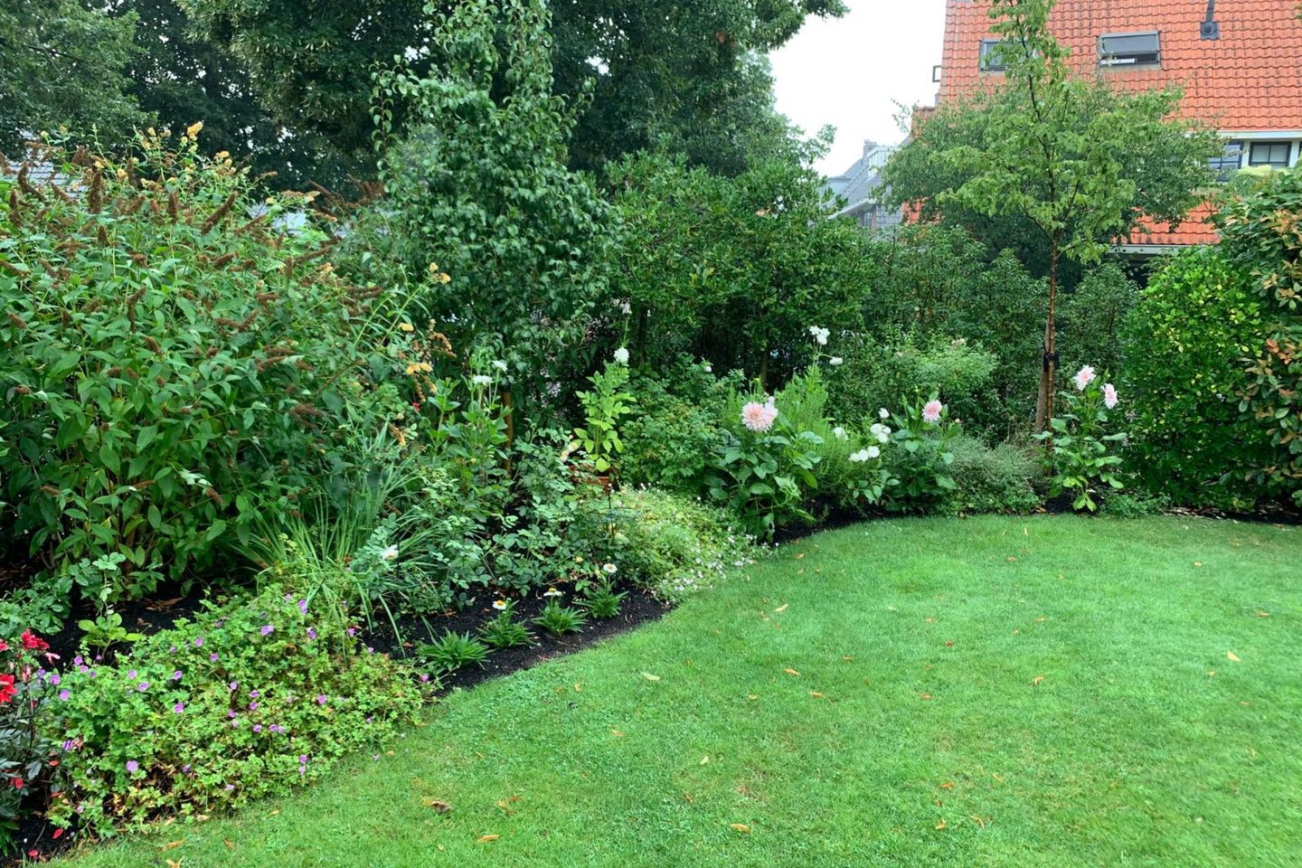 Foto 50 van Lindelaan 32