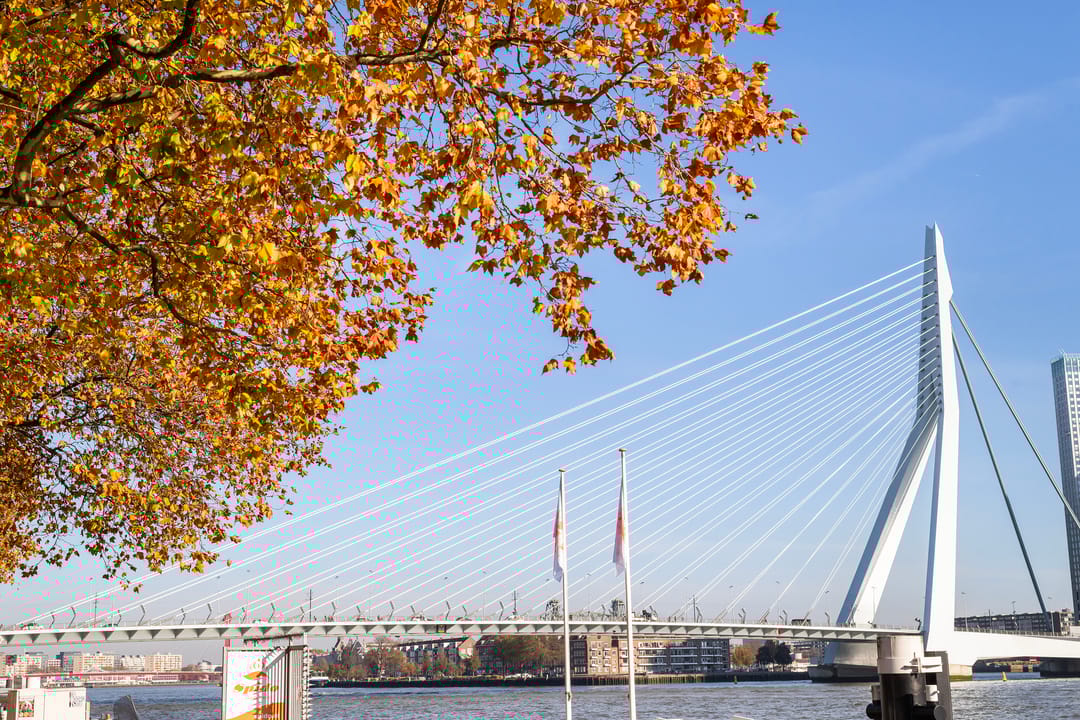 Foto 38 van Houtlaan 20-EL