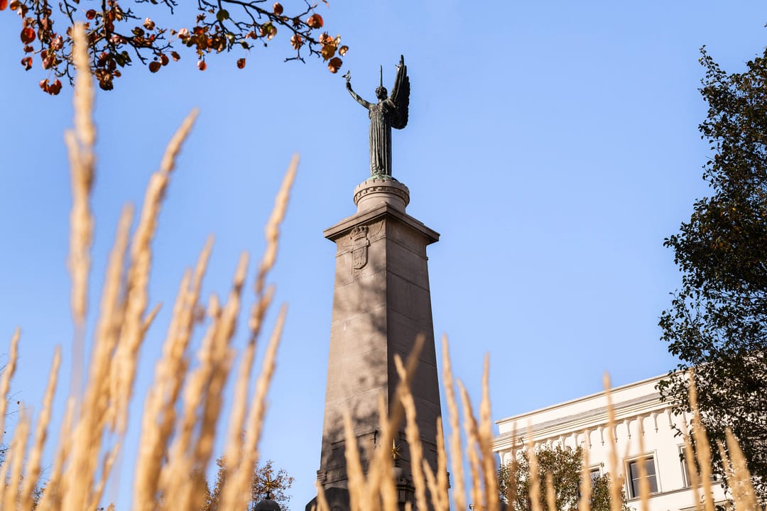 Foto 41 van Houtlaan 20-EL