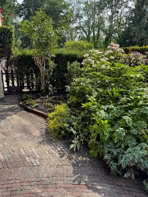 Photo 37 of Albert Verweylaan 26