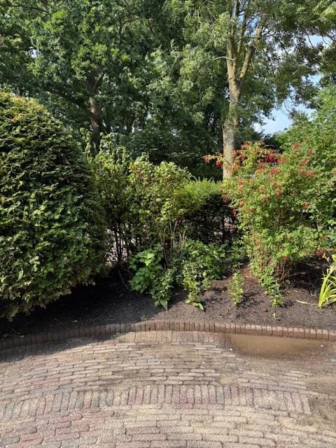 Photo 39 of Albert Verweylaan 26